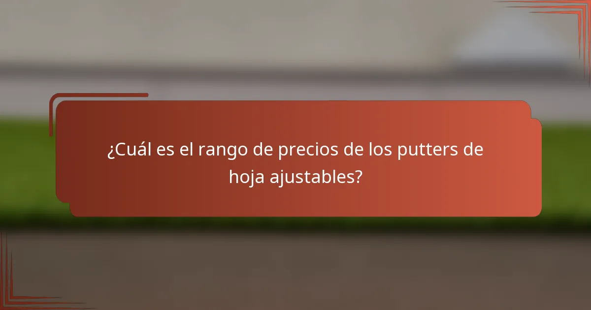 ¿Cuál es el rango de precios de los putters de hoja ajustables?