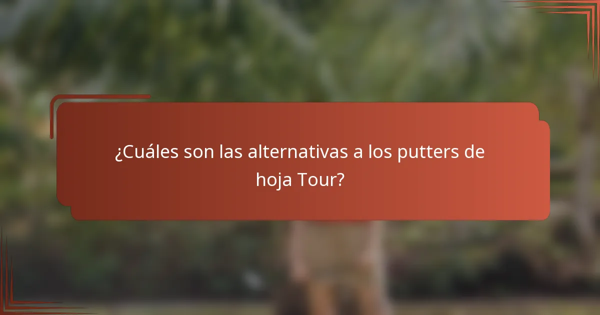 ¿Cuáles son las alternativas a los putters de hoja Tour?