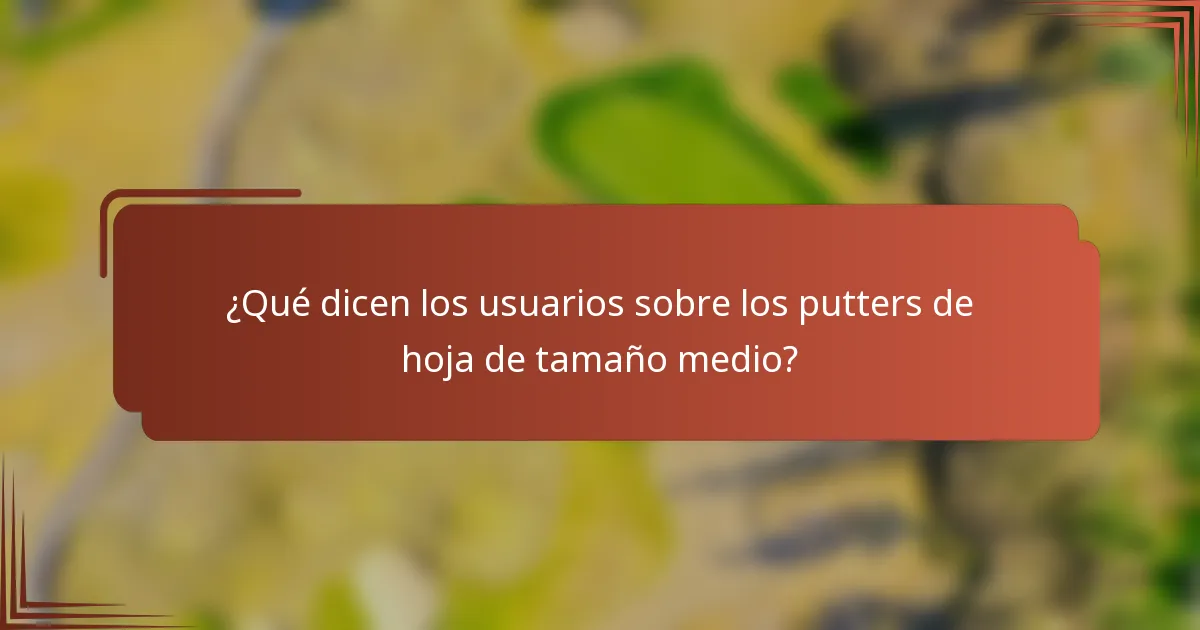 ¿Qué dicen los usuarios sobre los putters de hoja de tamaño medio?