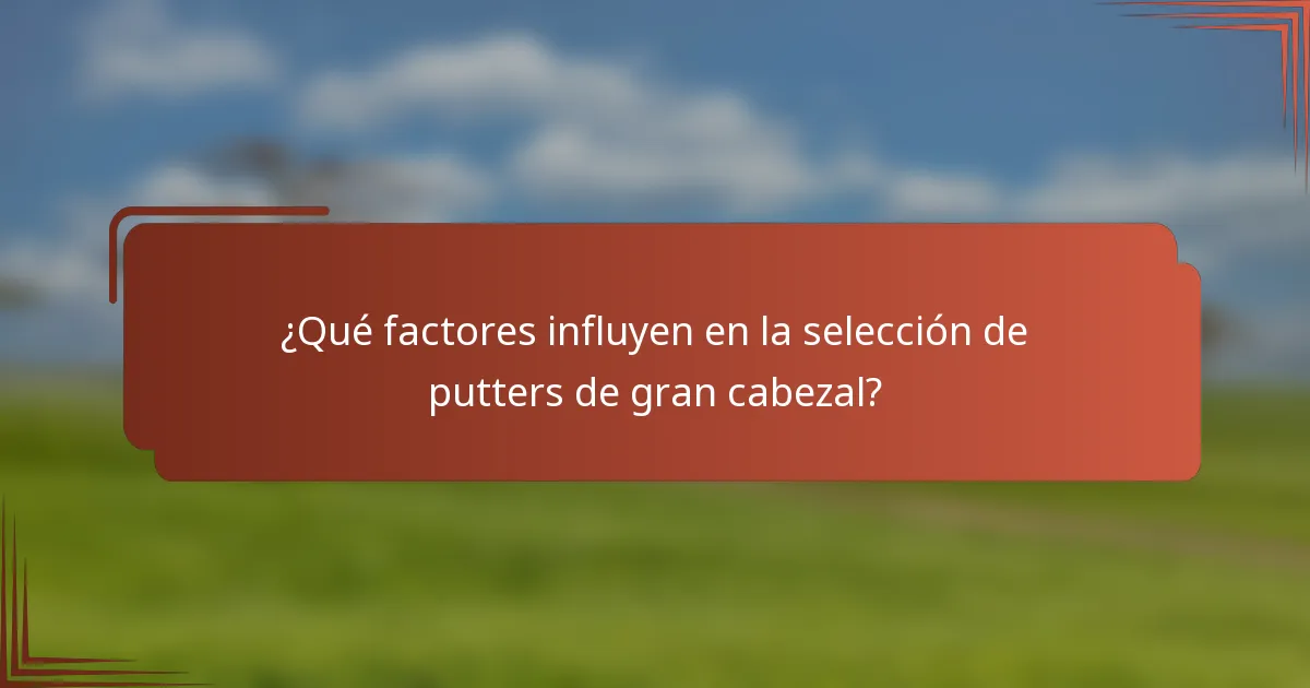 ¿Qué factores influyen en la selección de putters de gran cabezal?