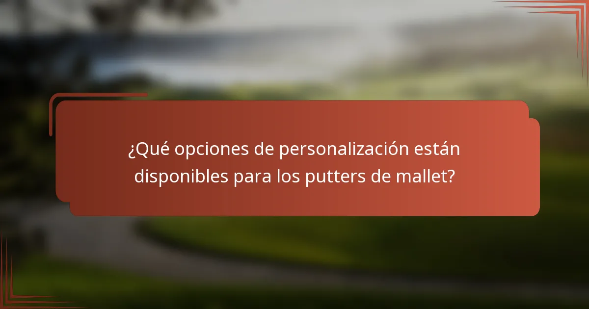 ¿Qué opciones de personalización están disponibles para los putters de mallet?