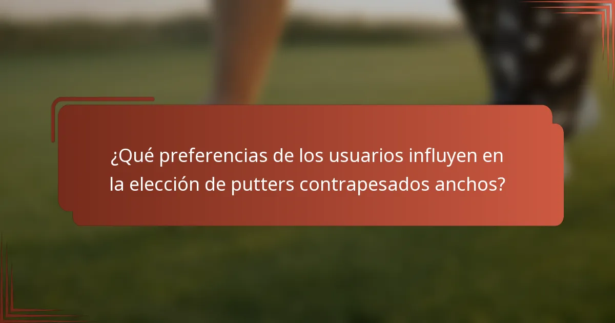 ¿Qué preferencias de los usuarios influyen en la elección de putters contrapesados anchos?