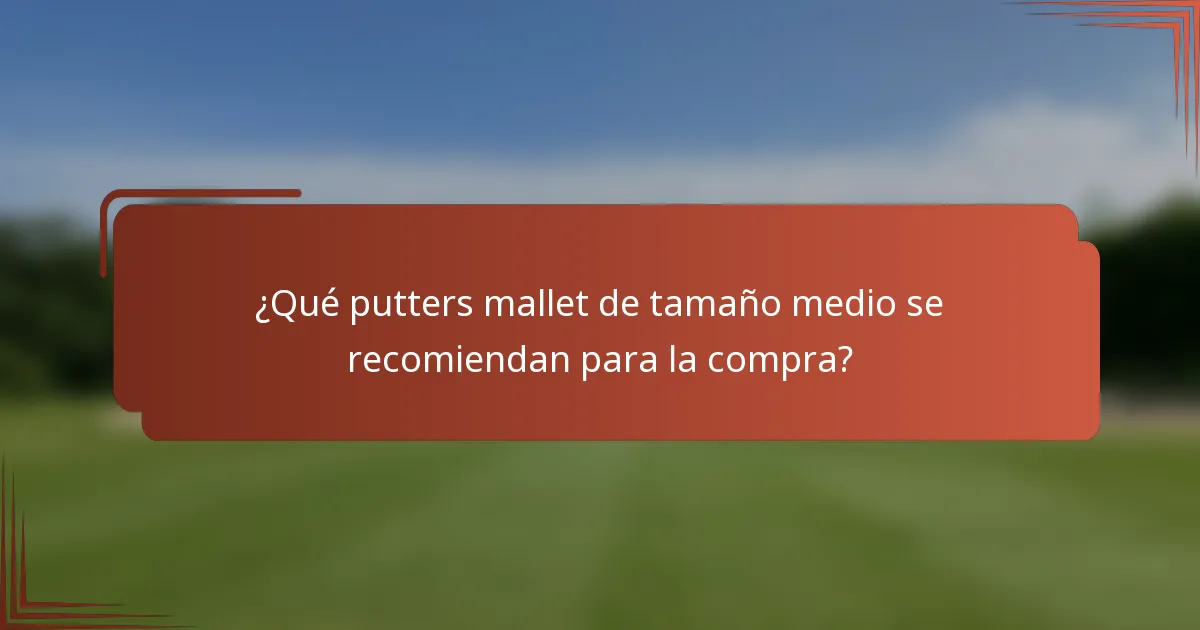 ¿Qué putters mallet de tamaño medio se recomiendan para la compra?